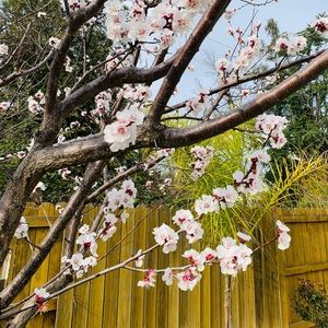 Meet your Posher, Moe